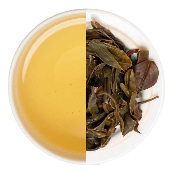 【業務卸】和紅茶 いずみ 1st Flush №2-2 《IZ1-250519》