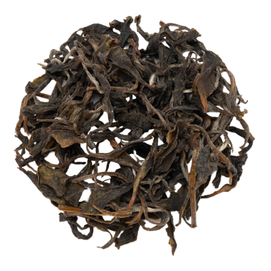 和紅茶 - 2025 いずみ 1st No.1 プレミアム 20g