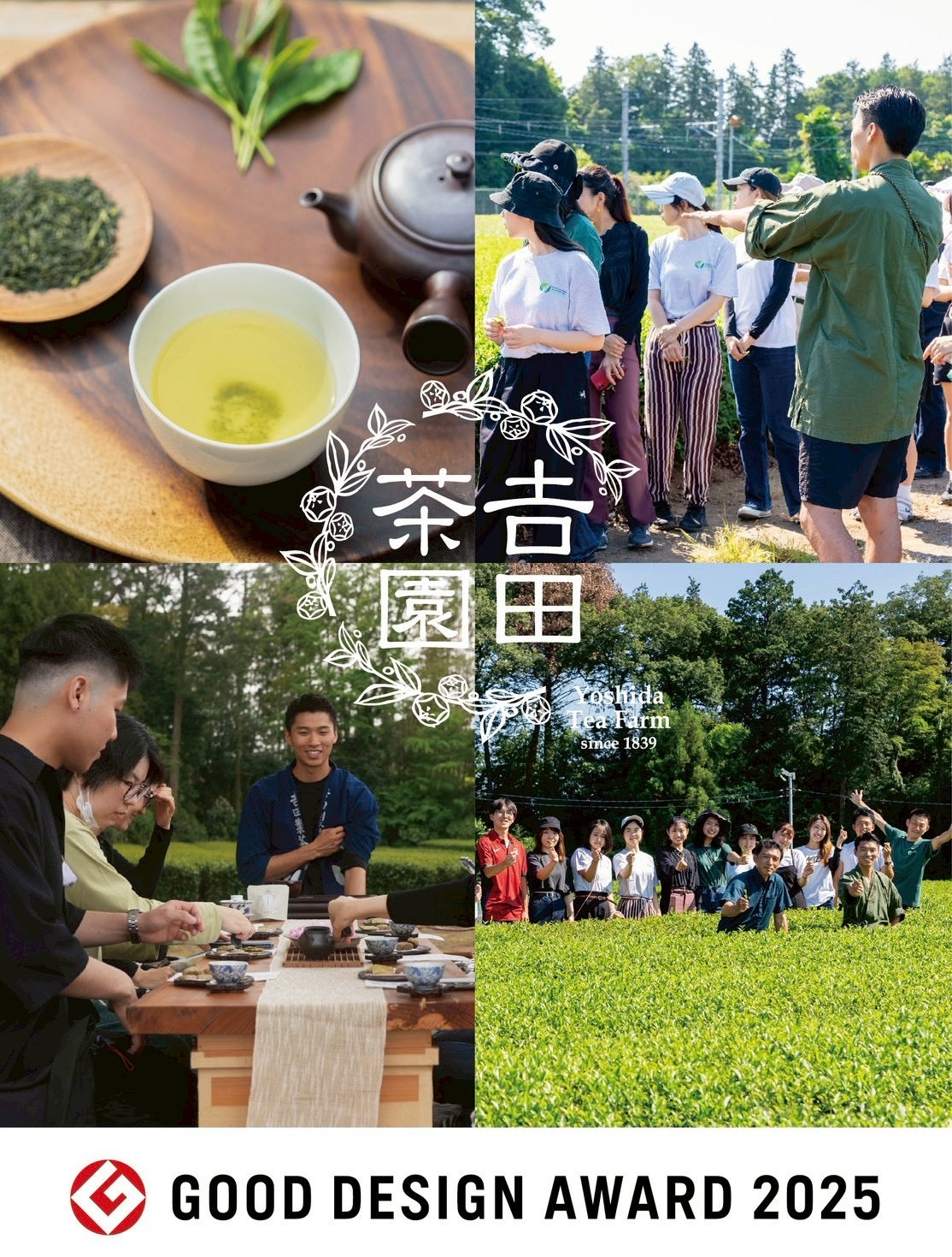 茶園ツアー/イベント