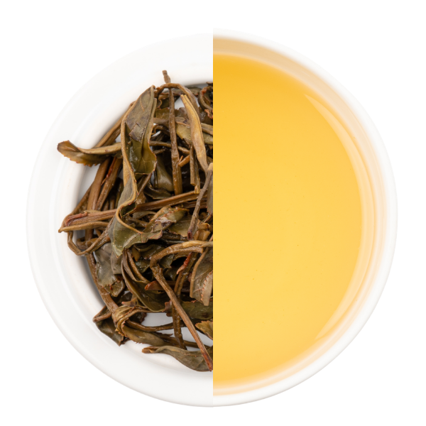 【業務卸】和紅茶 ほくめい 1st  Flush  グリニッシュ  《HO1-260509-1》