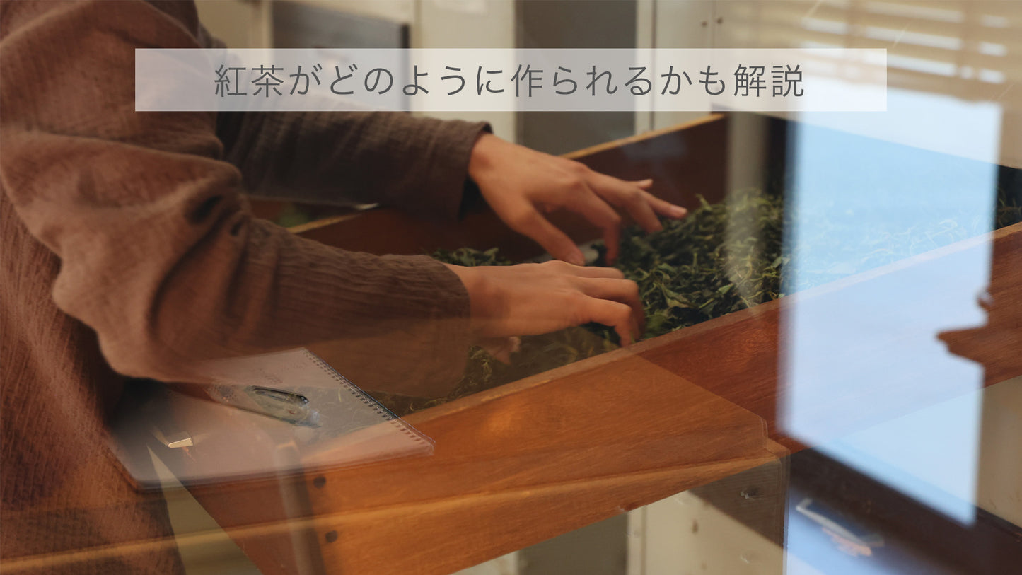 【東京開催】和紅茶10種飲み比べ by Tea Studio Aoyama