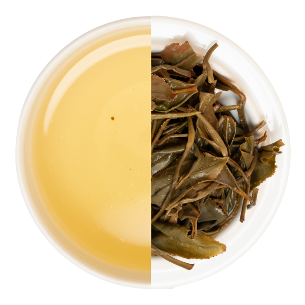 【業務卸】和紅茶 いずみ 1st Flush №1-2 《IZ1-250508》