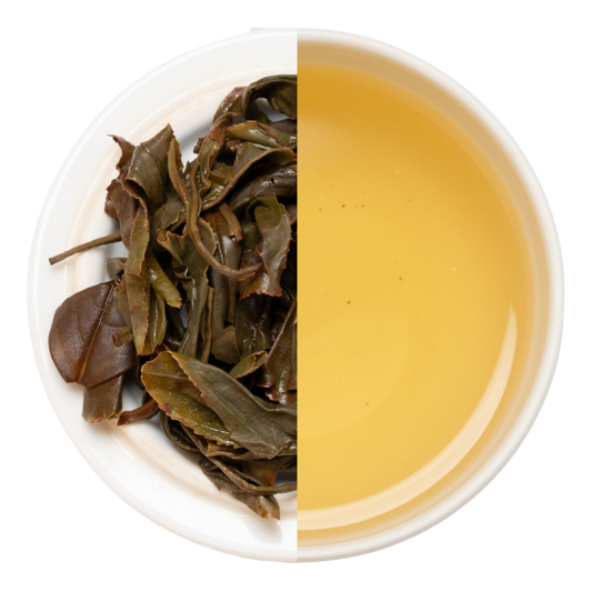 【業務卸】和紅茶 いずみ 1st  Flush  №2-1  《IZ1-260514》
