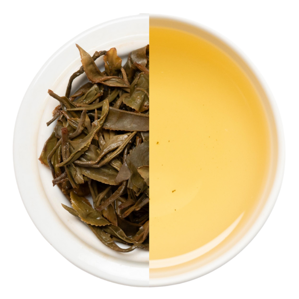 和紅茶 - 2025 やぶきた実生 1st No.1 グリニッシュ 25g