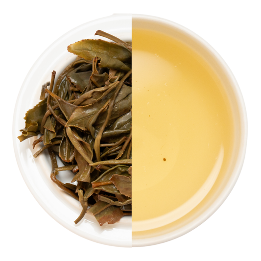 【業務卸】和紅茶 いずみ 1st  Flush  №1-1  《IZ1-260430-2》