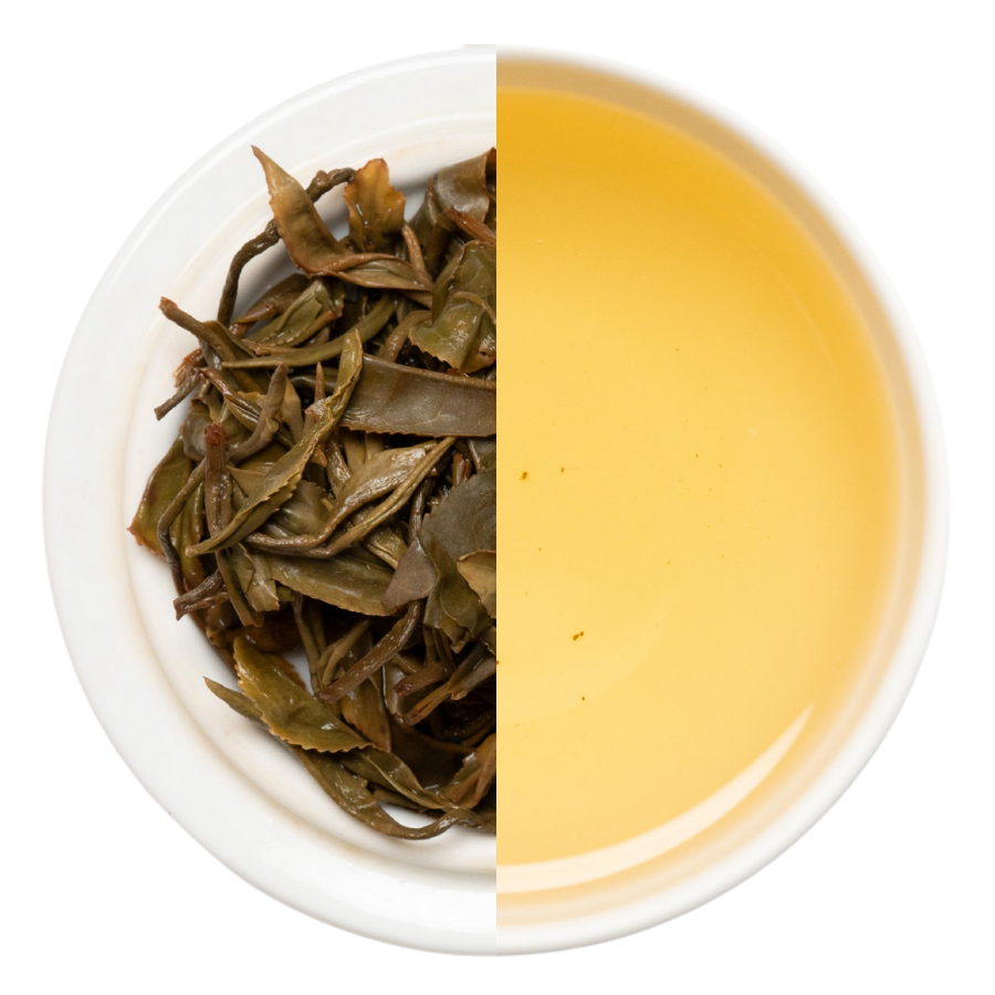 【業務卸】和紅茶 やぶきた実生 1st  Flush  グリニッシュ  《YM1-260429》