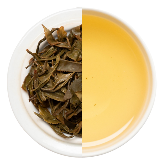 【業務卸】和紅茶 やぶきた実生 1st  Flush  グリニッシュ  《YM1-260429》