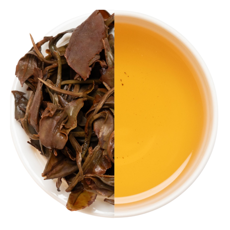 【業務卸】和紅茶 いずみ 1st  Flush  №2-2  《IZ1-260524》