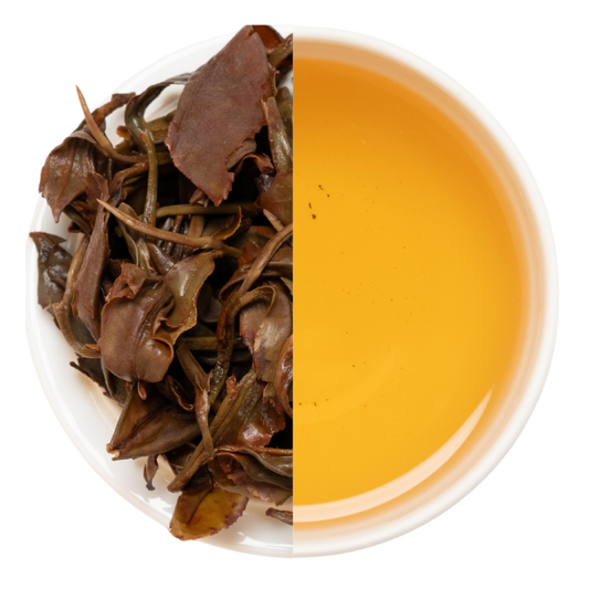 【業務卸】和紅茶 いずみ 1st  Flush  №2-2  《IZ1-260524》