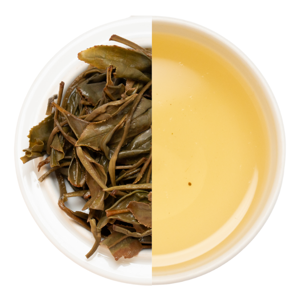 和紅茶 - 2025 いずみ 1st No.1 プレミアム 20g