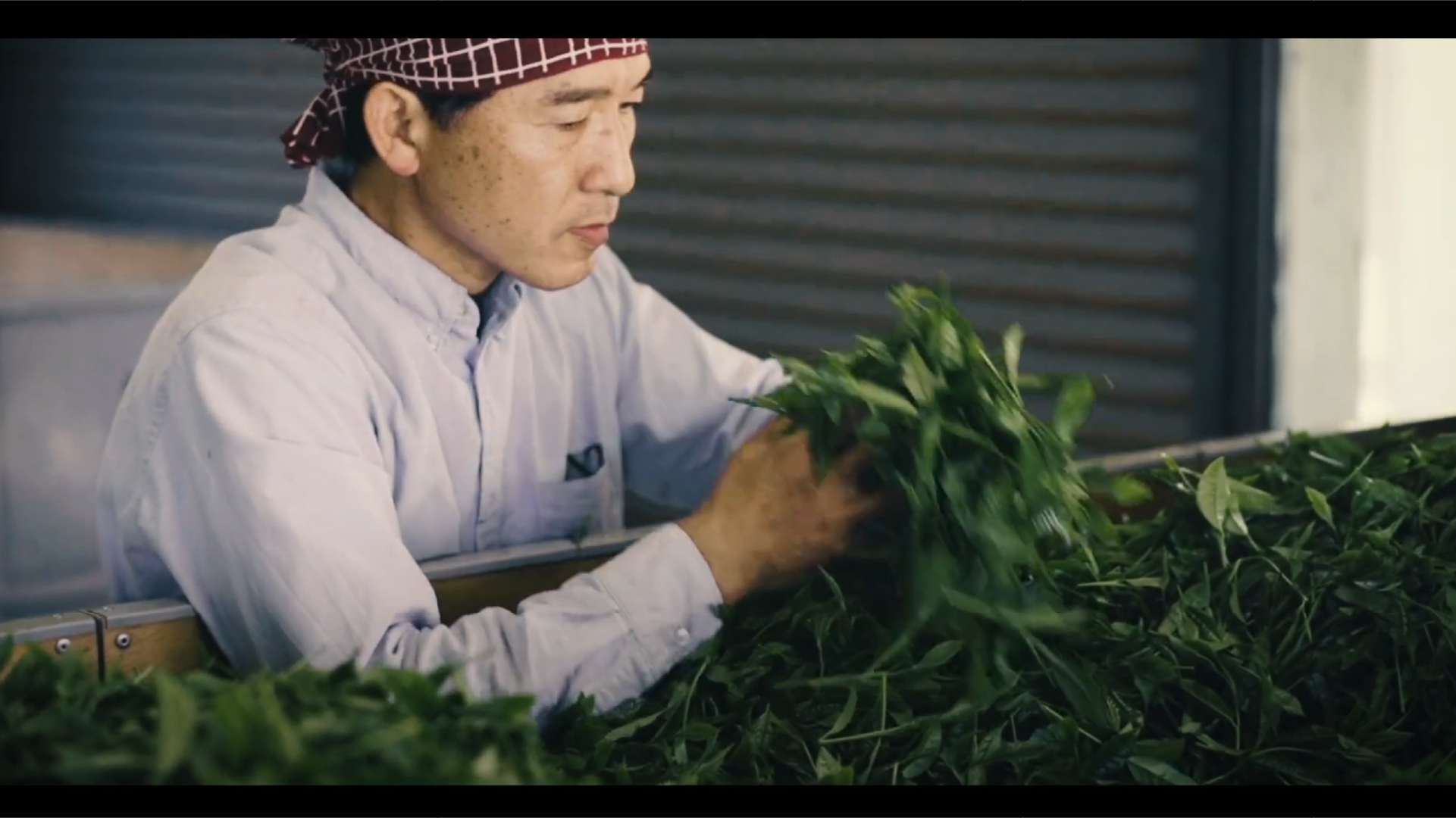 動画を読み込む: 