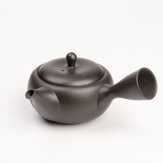 急須 日本茶インストラクター認定品  260cc 黒色