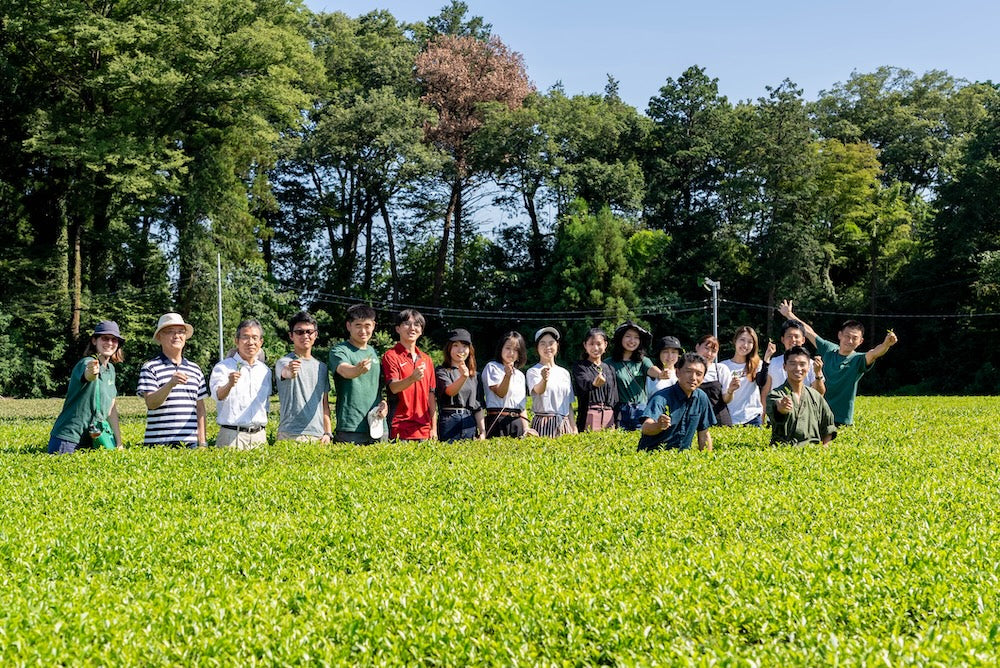 [Limited to 2 groups per day] Yoshida Tea Garden Premium Tea Tour | A 4-hour journey through 180 years of tradition, experiencing the world of tea with all five senses