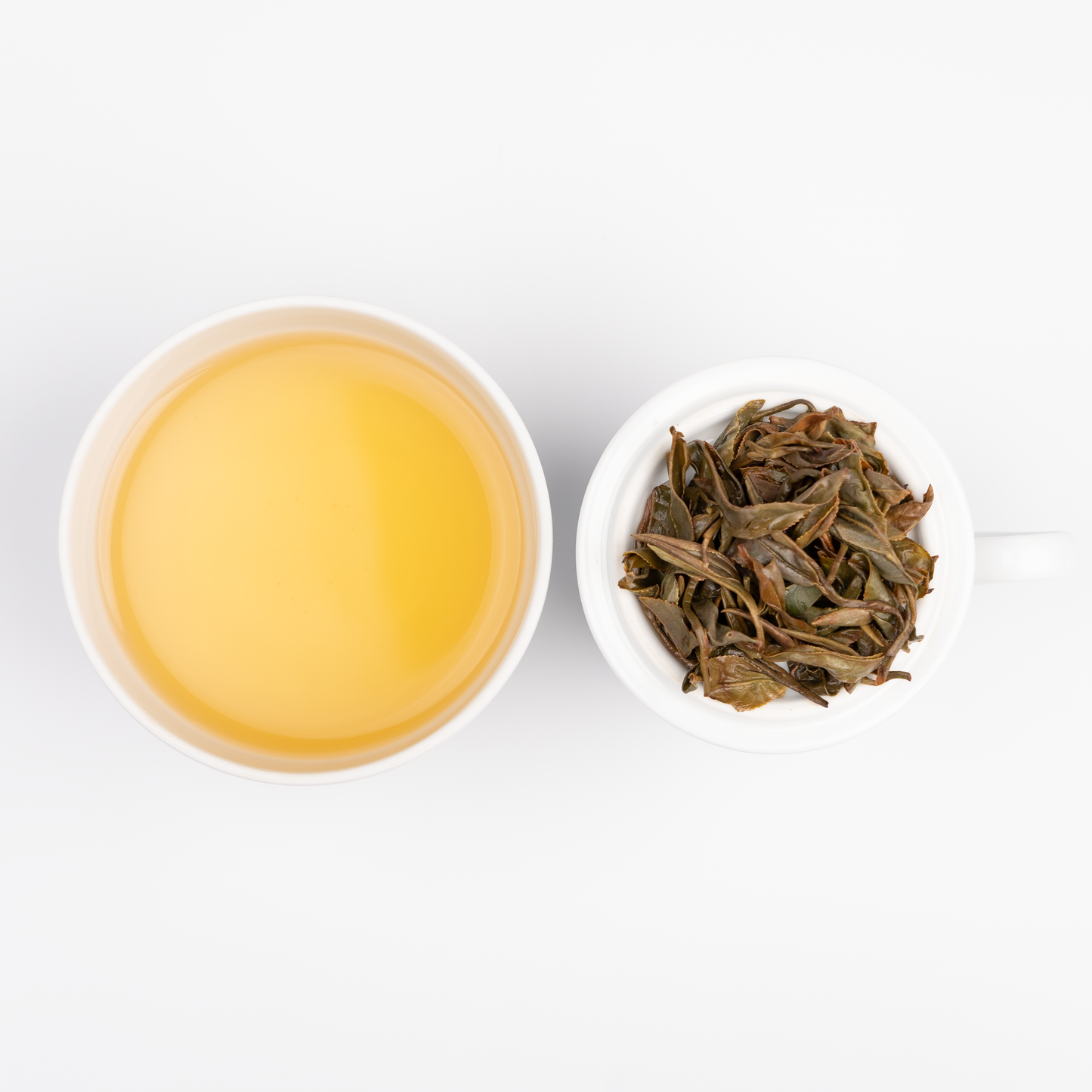 【業務卸】和紅茶 いずみ 1st Flush №1 《IZ1-240428》