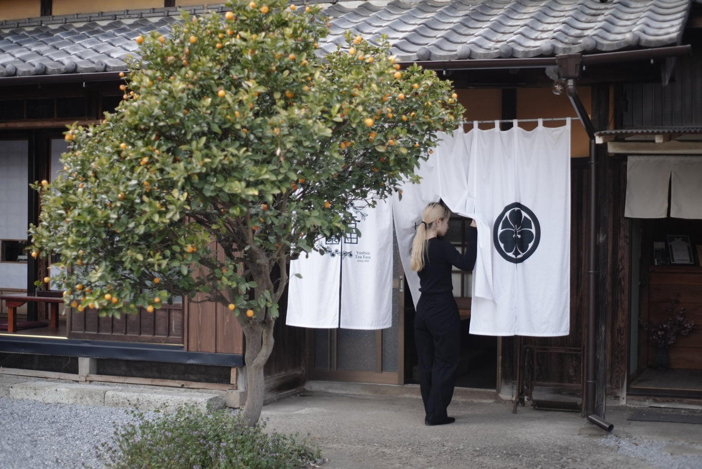 [Limited to 2 groups per day] Yoshida Tea Garden Premium Tea Tour | A 4-hour journey through 180 years of tradition, experiencing the world of tea with all five senses