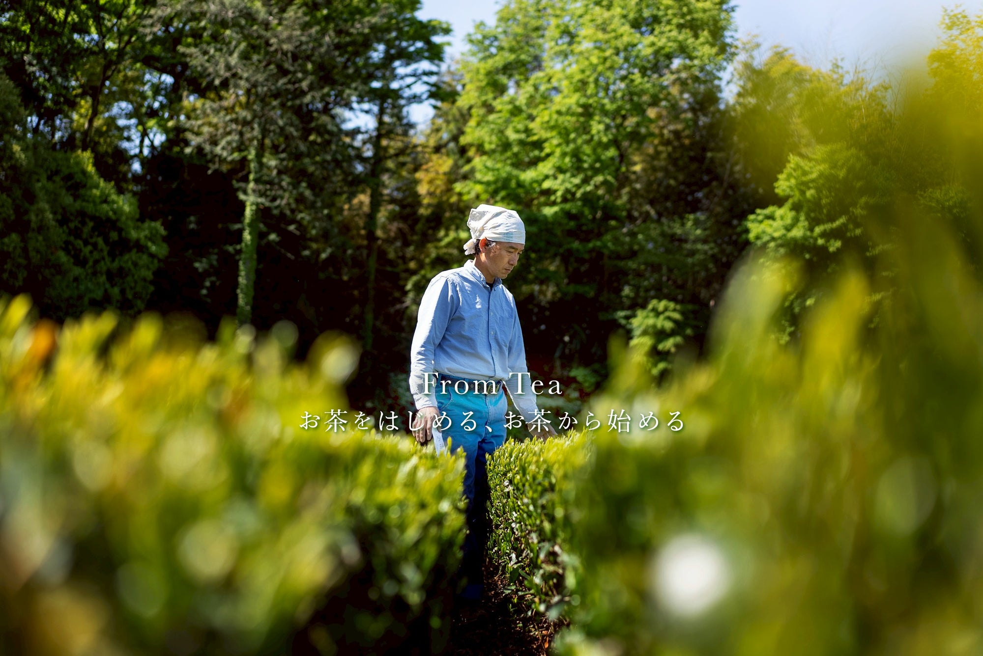 From Tea お茶をはじめる、お茶から始める