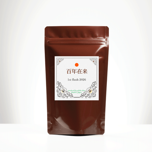 和紅茶 - 2026 百年在来 1st 20g