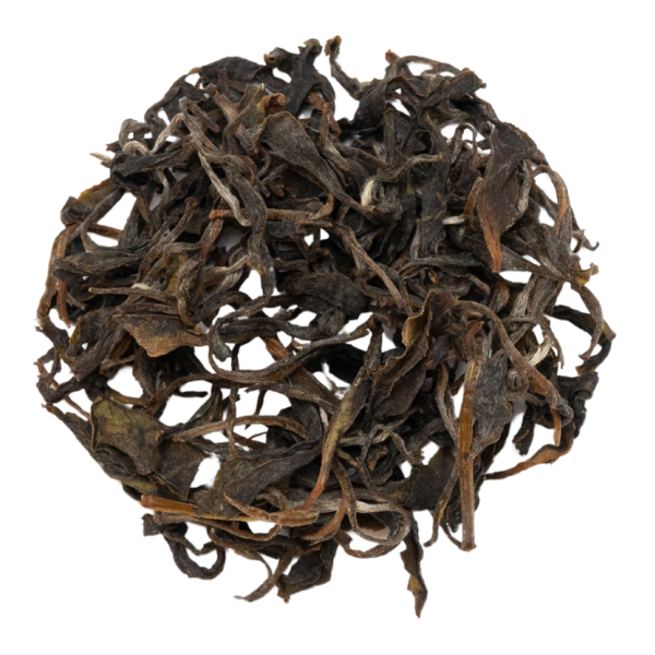 和紅茶 - 2025 いずみ 1st No.1 プレミアム 20g