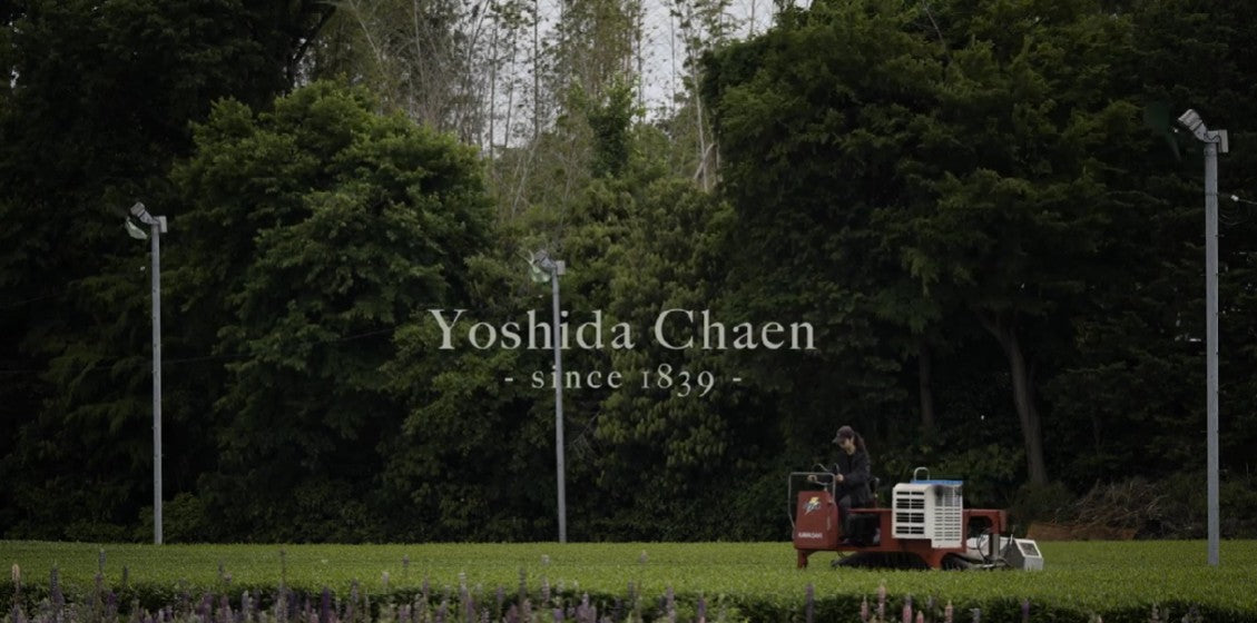 Load video: PV of Yoshida Tea Garden